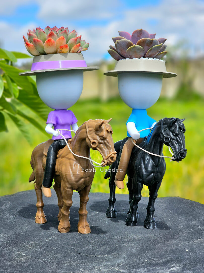 Vaquero - Vaquera sobre caballo