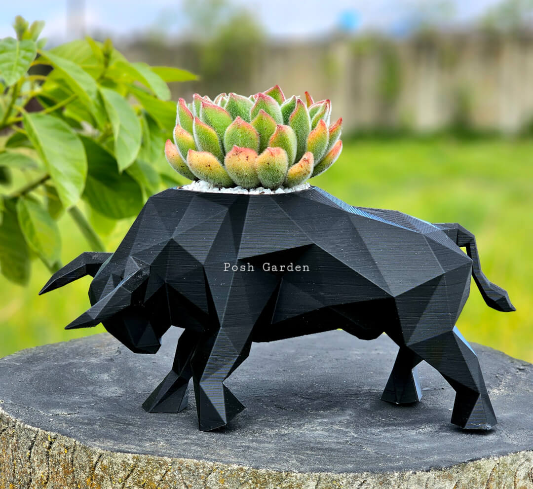 Toro mediano