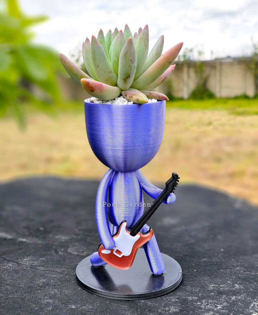 Guitarrista
