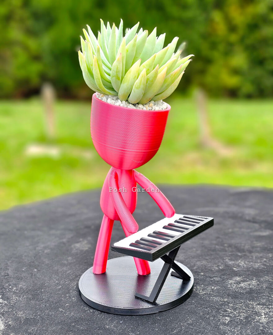 Pianista